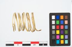 Foto von Goldspiralring (NHMW-PRAE-024767)
